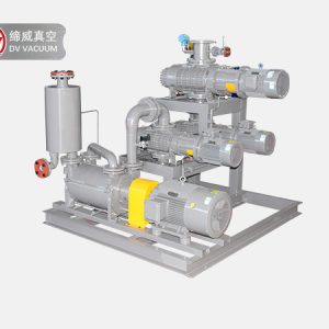 DVBL Roots Vortex Vacuum Unit DVBL 罗茨液环真空机组