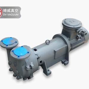 DVL Ring Vacuum Pump DVL 液环真空泵