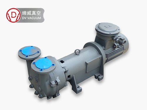 DVL Ring Vacuum Pump DVL 液环真空泵
