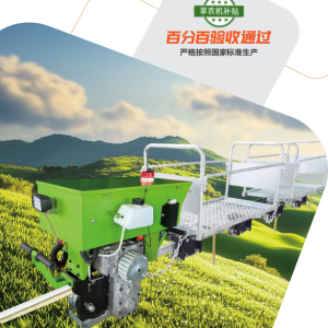 Remote Control Electric Model -