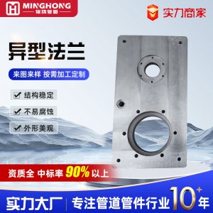 Special-shaped flange 异型法兰
