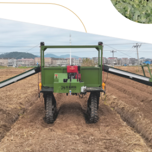 Tall Field Transport