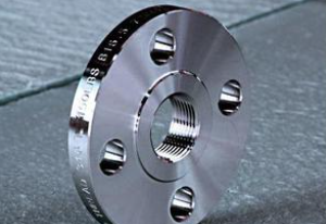 Stainless steel threaded flange 不锈钢螺纹法兰