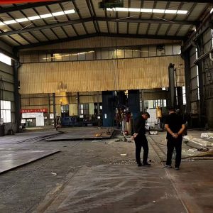 Steel plates, steel sections